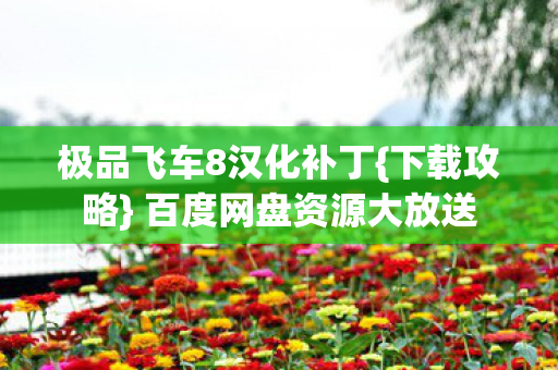 极品飞车8汉化补丁图片