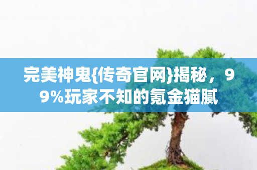 玩家不知的氪金猫腻图片