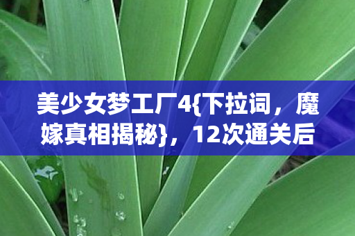 12次通关后的惊悚发现图片