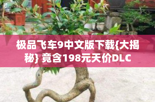 竟含198元天价DLC图片
