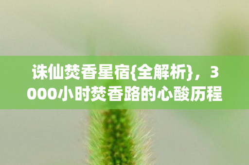 诛仙焚香星宿{全解析},3000小时焚香路的心酸历程 诛仙焚香星宿{全解析},3000小时焚香路的心酸历程