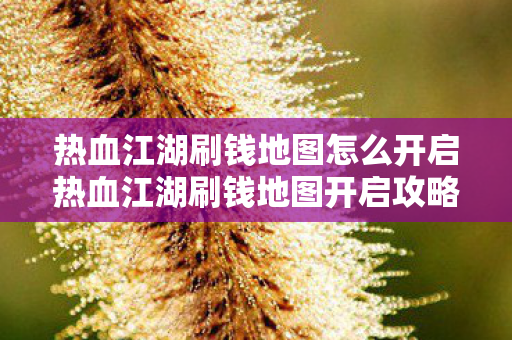 热血江湖刷钱地图怎么开启热血江湖刷钱地图开启攻略，热血江湖刷钱地图开启攻略