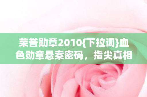荣誉勋章2010图片