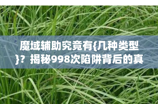 魔域辅助究竟有{几种类型}?揭秘998次陷阱背后的真相 魔域辅助究竟有{几种类型}?揭秘998次陷阱背后的真相