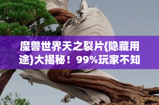 魔兽世界天之裂片{隐藏用途}大揭秘!99%玩家不知的猫腻 魔兽世界天之裂片{隐藏用途}大揭秘!99%玩家不知的猫腻
