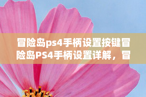 冒险岛ps4手柄设置按键冒险岛PS4手柄设置详解,冒险岛PS4手柄设置详解 冒险岛ps4手柄设置按键冒险岛PS4手柄设置详解,冒险岛PS4手柄设置详解