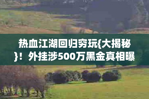 热血江湖回归穷玩{大揭秘}!外挂涉500万黑金真相曝光 热血江湖回归穷玩{大揭秘}!外挂涉500万黑金真相曝光