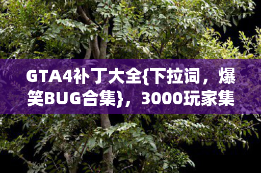 GTA4补丁大全{下拉词,爆笑BUG合集},3000玩家集体破防! GTA4补丁大全{下拉词,爆笑BUG合集},3000玩家集体破防!