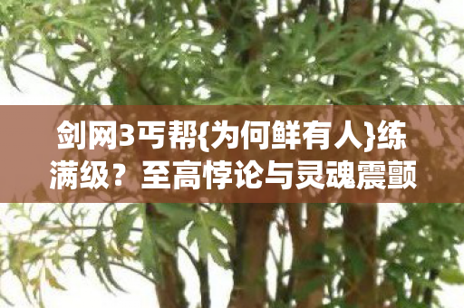 剑网3丐帮{为何鲜有人}练满级?至高悖论与灵魂震颤 剑网3丐帮{为何鲜有人}练满级?至高悖论与灵魂震颤