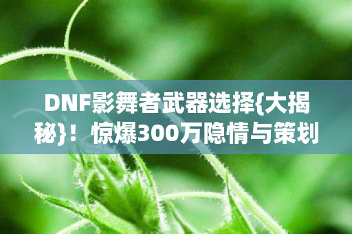 惊爆300万隐情与策划真相图片