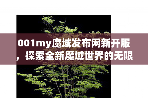 001my魔域发布网新开服图片