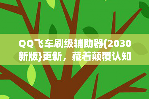 QQ飞车刷级辅助器{2030新版}更新，藏着颠覆认知秘密