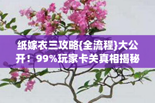 玩家卡关真相揭秘图片