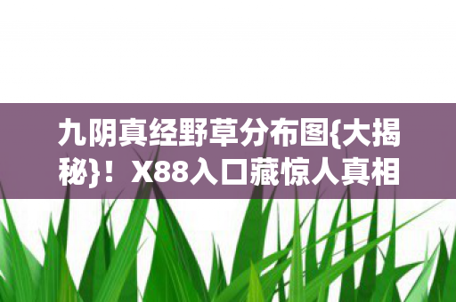 X88入口藏惊人真相图片