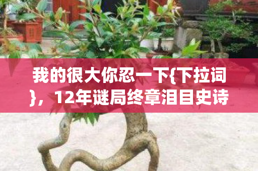 12年谜局终章泪目史诗征程图片