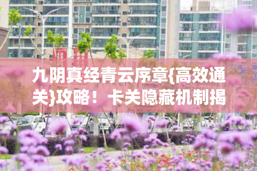 九阴真经青云序章图片