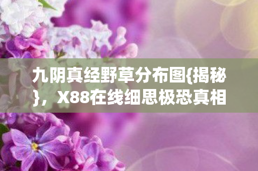 X88在线细思极恐真相图片