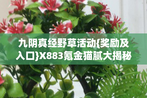 X883氪金猫腻大揭秘图片