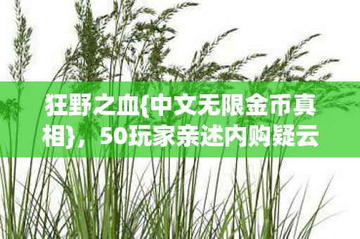 50玩家亲述内购疑云图片