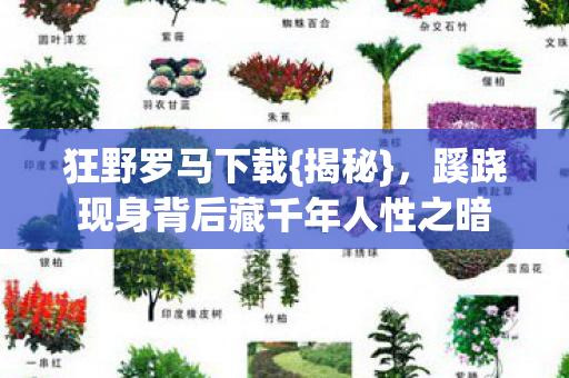 蹊跷现身背后藏千年人性之暗图片