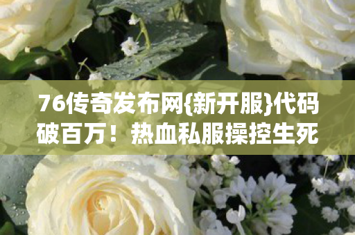 热血私服操控生死图片