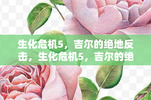 吉尔的绝地反击图片