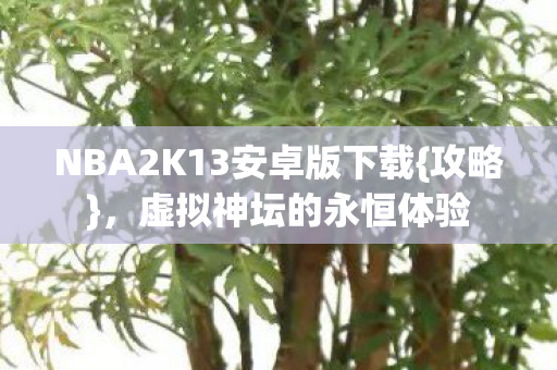 NBA2K13安卓版下载图片