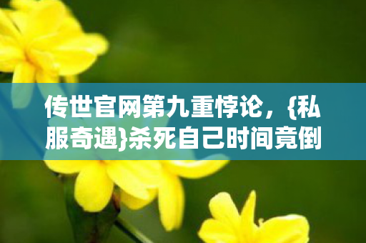 传世官网第九重悖论图片