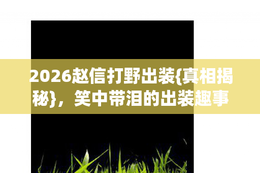 2026赵信打野出装图片