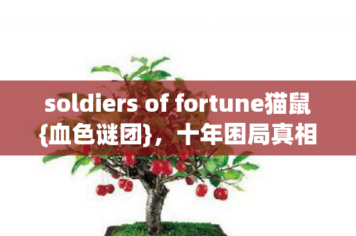 soldiers of fortune猫鼠图片