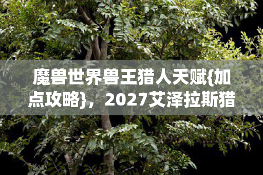 2027艾泽拉斯猎魂者失踪之谜图片