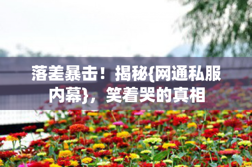 网通私服内幕图片