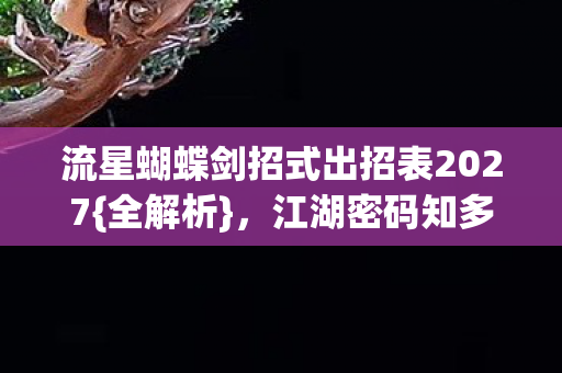 流星蝴蝶剑招式出招表2027图片
