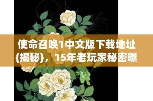 使命召唤1中文版下载地址图片