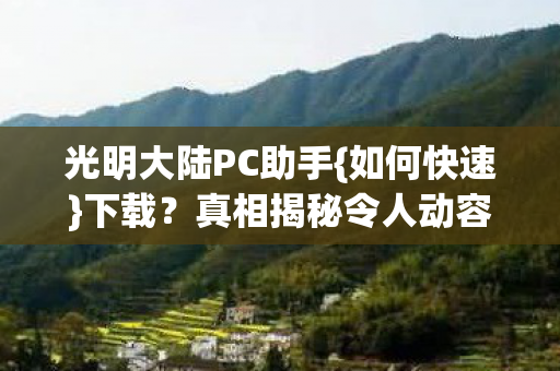 光明大陆PC助手图片