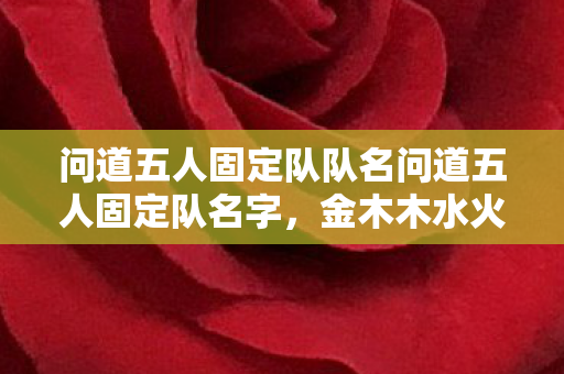 问道五人固定队队名问道五人固定队名字,金木木水火,五行齐聚·问道五人固定队 问道五人固定队队名问道五人固定队名字,金木木水火,五行齐聚·问道五人固定队