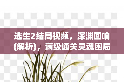 满级通关灵魂困局图片