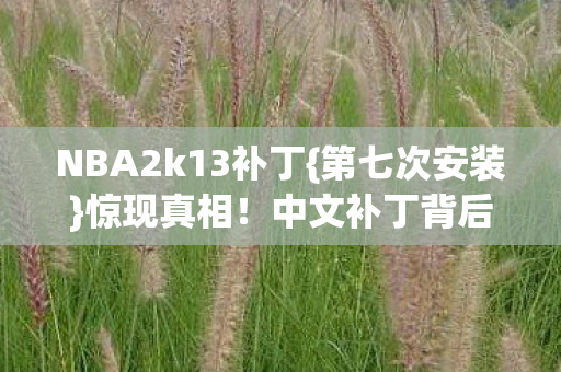NBA2k13补丁图片