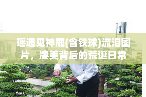 凄美背后的荒诞日常图片