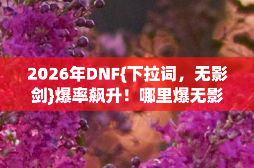2026年DNF图片