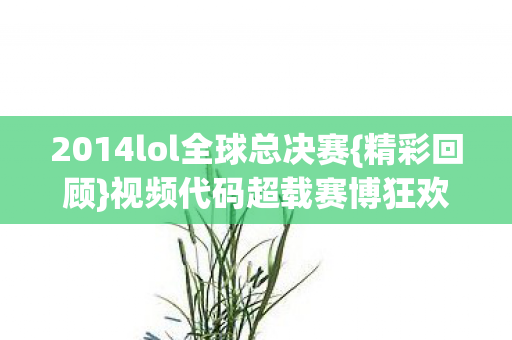 2014lol全球总决赛图片
