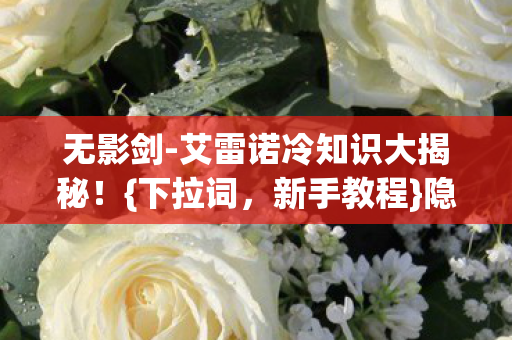 无影剑-艾雷诺冷知识大揭秘!{下拉词,新手教程}隐藏真相 无影剑-艾雷诺冷知识大揭秘!{下拉词,新手教程}隐藏真相