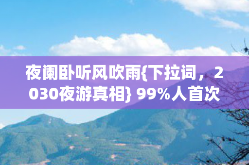 2030夜游真相图片