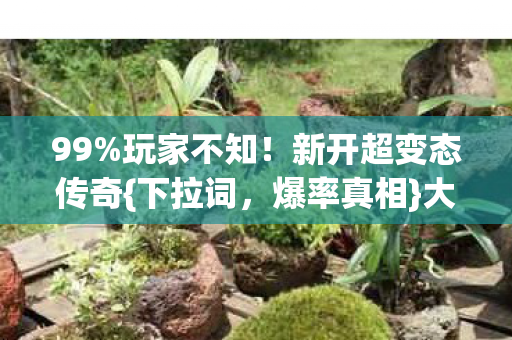新开超变态传奇图片