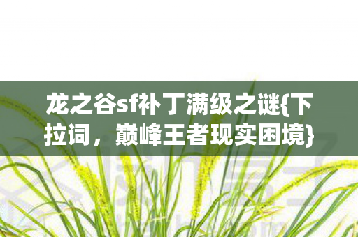 龙之谷sf补丁满级之谜图片