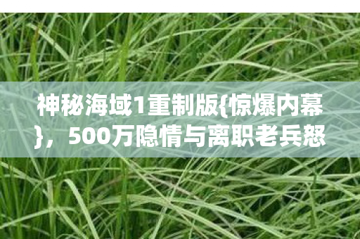 500万隐情与离职老兵怒吼图片