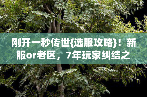 7年玩家纠结之选图片
