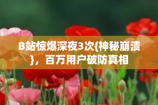 B站惊爆深夜3次图片
