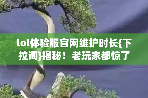 lol体验服官网维护时长图片