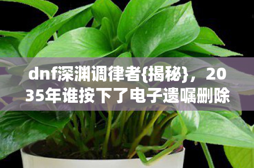 2035年谁按下了电子遗嘱删除键图片
